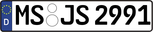 MS-JS2991