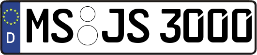 MS-JS3000