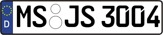MS-JS3004