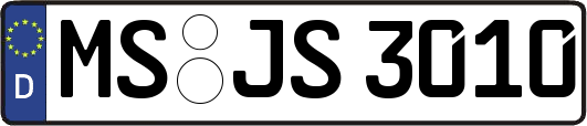 MS-JS3010