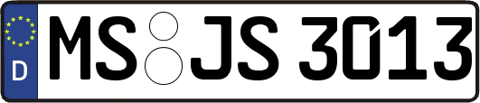 MS-JS3013
