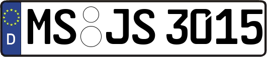 MS-JS3015
