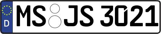 MS-JS3021