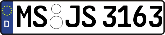 MS-JS3163