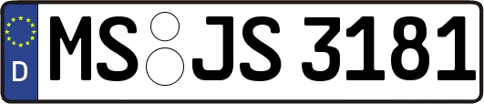 MS-JS3181