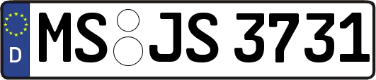 MS-JS3731