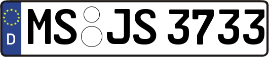 MS-JS3733