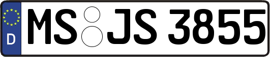 MS-JS3855