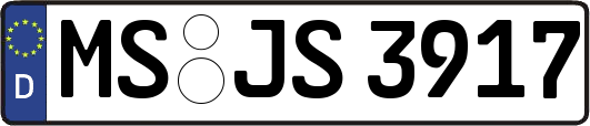 MS-JS3917