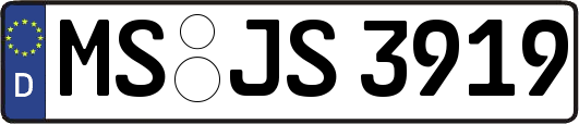 MS-JS3919