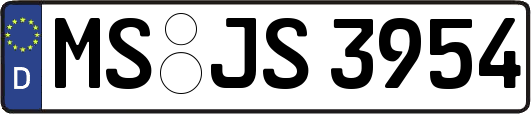 MS-JS3954