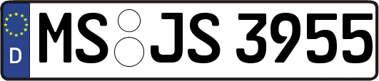 MS-JS3955
