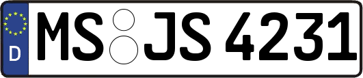 MS-JS4231