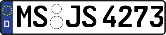MS-JS4273