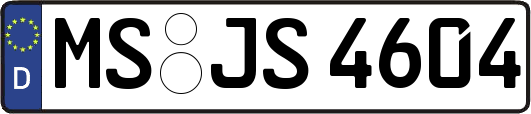 MS-JS4604