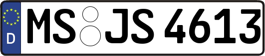 MS-JS4613