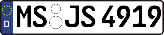 MS-JS4919