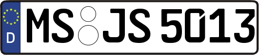 MS-JS5013