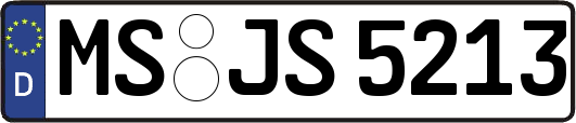 MS-JS5213