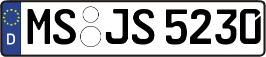 MS-JS5230