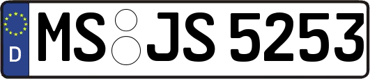 MS-JS5253