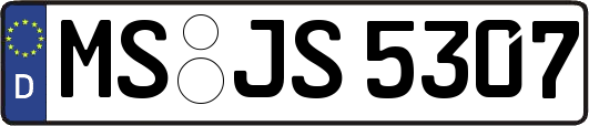MS-JS5307