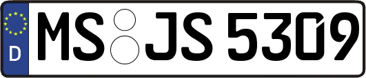 MS-JS5309