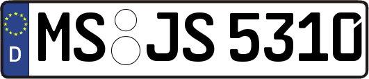 MS-JS5310