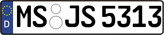 MS-JS5313