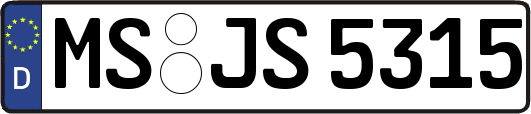 MS-JS5315