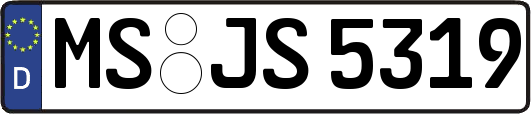 MS-JS5319