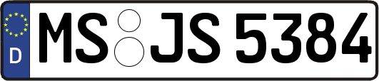 MS-JS5384
