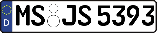MS-JS5393