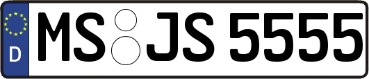 MS-JS5555