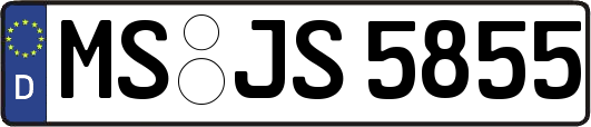 MS-JS5855