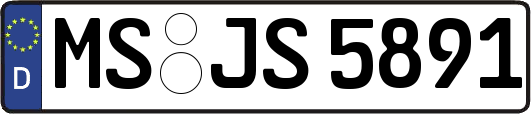 MS-JS5891