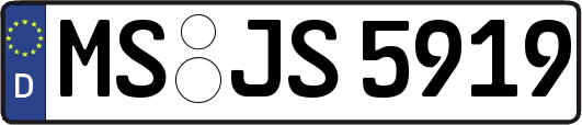 MS-JS5919