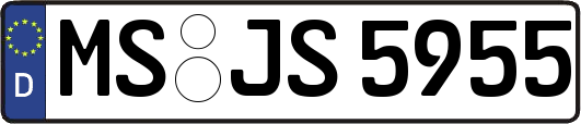 MS-JS5955