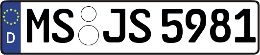 MS-JS5981