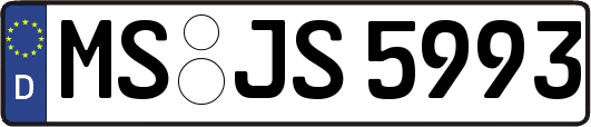 MS-JS5993