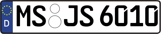 MS-JS6010