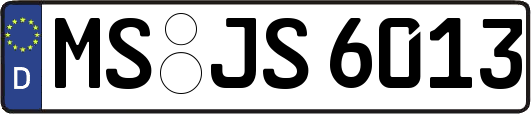 MS-JS6013