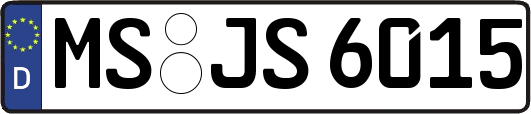MS-JS6015