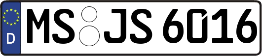 MS-JS6016