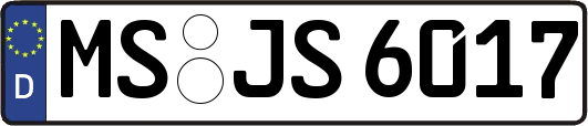 MS-JS6017