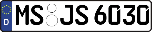 MS-JS6030