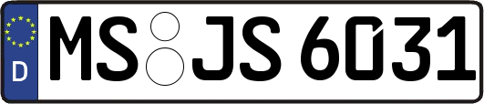 MS-JS6031