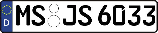 MS-JS6033