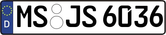 MS-JS6036