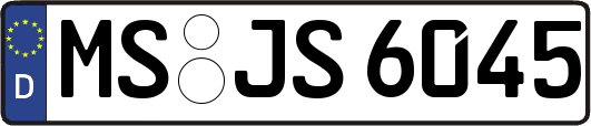 MS-JS6045